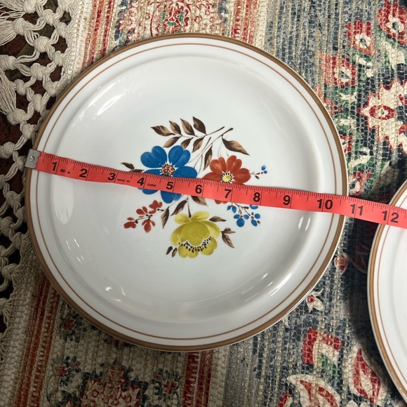 70's "Priscilla" by Colonial Stoneware • 4 Dinner Plates • Bold Botanical Print - Picture 5 of 5